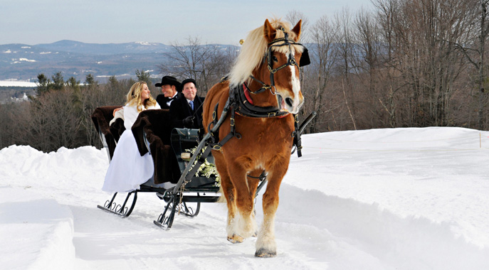 A horse drawn sleigh brings a bride and groom on a joy ride during a winter wedding